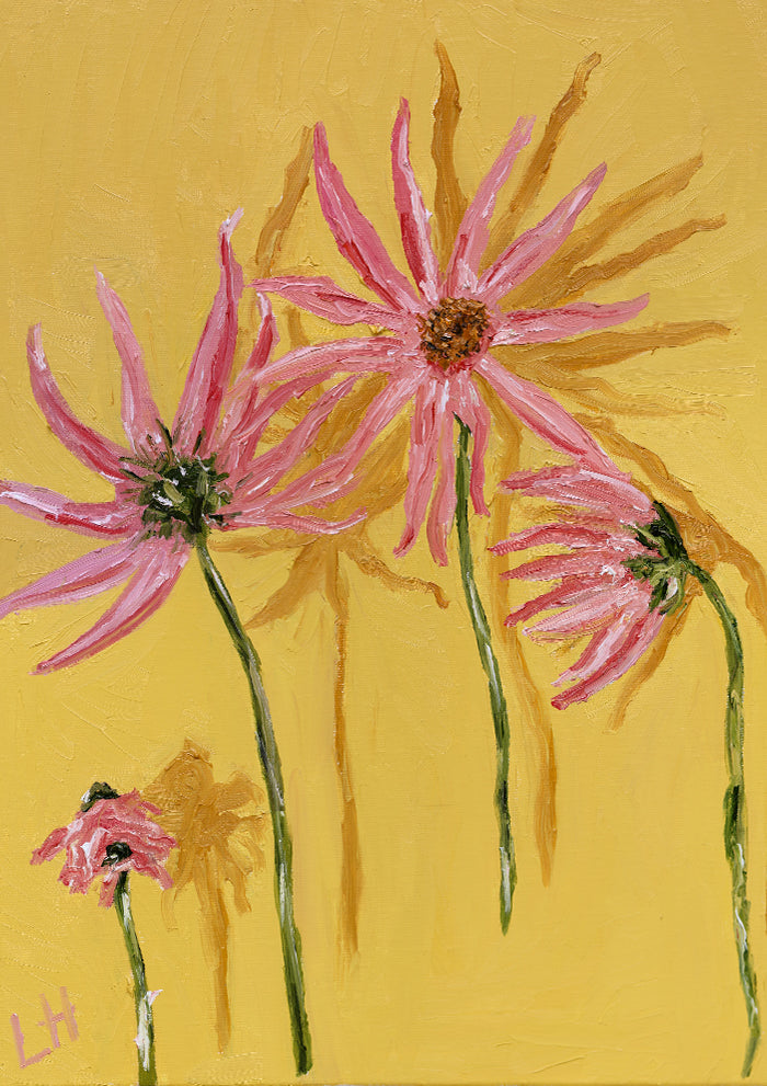 dahlia on yellow