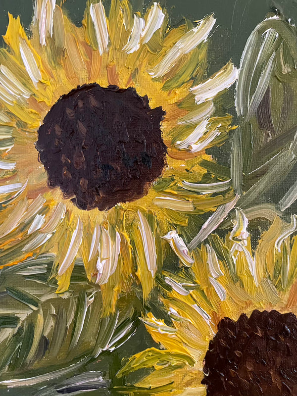 sunflower, scallop