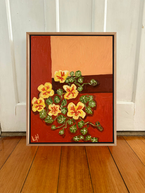 creeping nasturtium