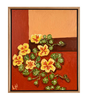 creeping nasturtium