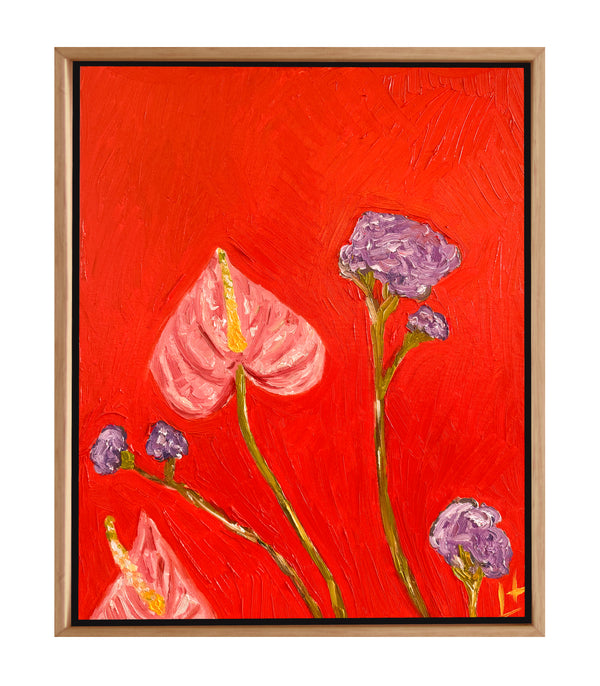 thistle anthurium